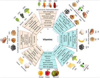 Vitamins in Cereals: A Critical Review of Content, Health Effects, Processing Losses, Bioaccessibility, Fortification, and Biofortification Strategies for Their Improvement